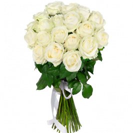 19 rose bianche