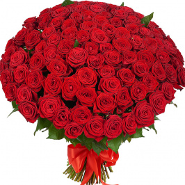 101 rosas rojas