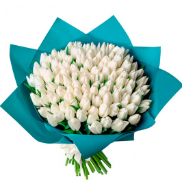 101 tulipanes blancos