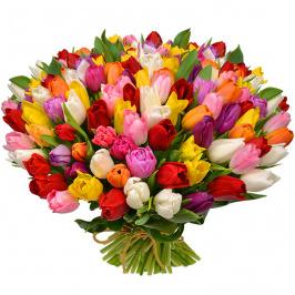 101 tulipanes multicolores