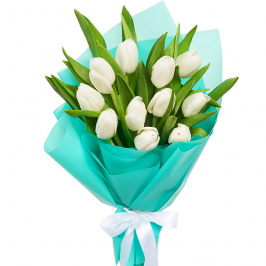 11 tulipanes blancos