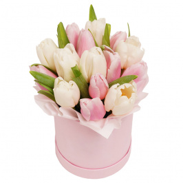 15 tulipani teneri
