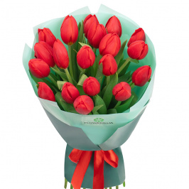 19 tulipanes rojos