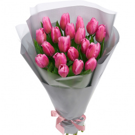 19 tulipani rosa