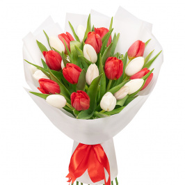 21 tulipanes blancos y rojos
