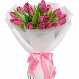 21 tulipanes rosados