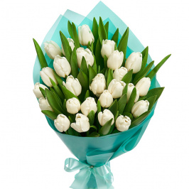 25 tulipanes blancos