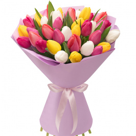 35 tulipani multicolori