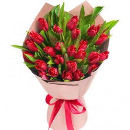 25 tulipani rossi