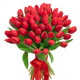 51 tulipanes rojos