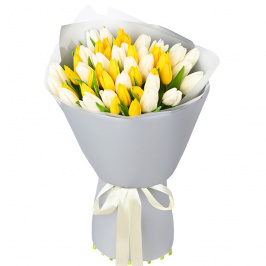51 tulipanes blancos y amarillos