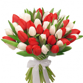 51 tulipanes blancos y rojos