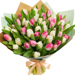 51 tulipanes blancos y rosados