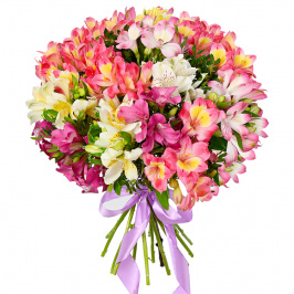 15 alstroemerias multicolores