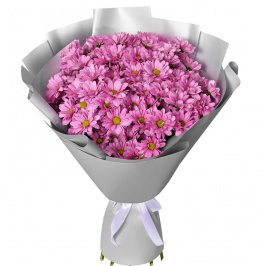 11 crisantemos rosados