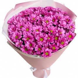 9 crisantemos rosados