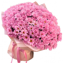 35 crisantemos rosados