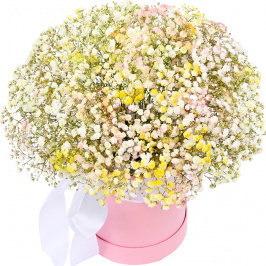 9 tallos de gypsophila