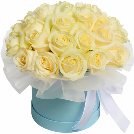 25 rose bianche