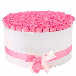 101 rosas rosadas