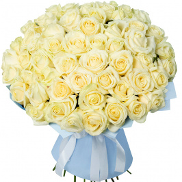 51 rosas blancas