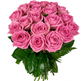 19 rosas rosadas