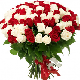 101 rosas rojas y blancas